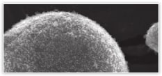 Nanomaterial Surface Modification